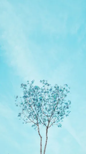 Single Tree Cyan Aesthetic Wallpaper