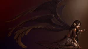 Six Black Angel Wings Wallpaper