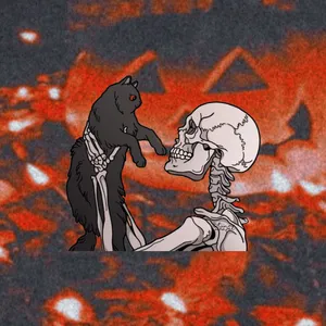 Skeleton Xbox Pfp Wallpaper