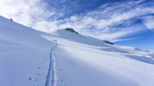 Ski Mountain Prints Wallpaper