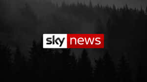 Sky News Dark Forest Wallpaper