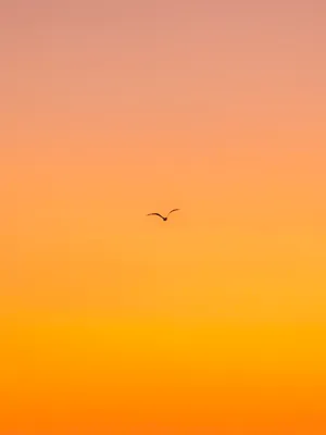 Sky View In Color Orange Iphone Wallpaper