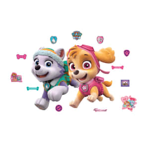 Skye Paw Patrol Bestfriend Pups Wallpaper