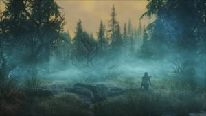 Skyrim Ultra Hd Misty Dark Forest Wallpaper