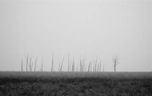 Sleek And Sophisticated Black And Grey Iphone Wallpaper