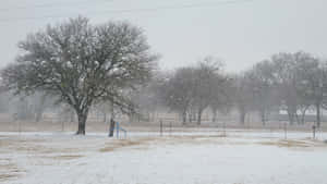 Sleet Pouring Down On A Land Wallpaper