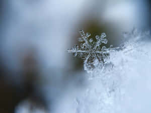 Sleet Snowflake Pattern Wallpaper