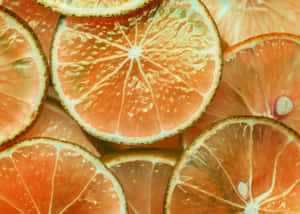 Sliced Citrus Fruit Texture Wallpaper