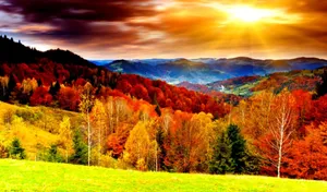Sloping Hills Fall Autumn Desktop Wallpaper