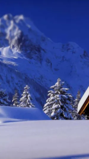 Small Trees With Snow Falling Wallpaper