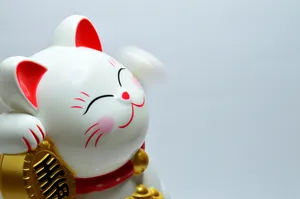 Smiling Cat For Cute Tablet Wallpaper