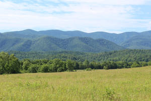 Smoky Mountains And Grassy Field Wallpaper