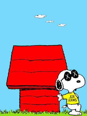 Snoopy Living The Good Life Wallpaper