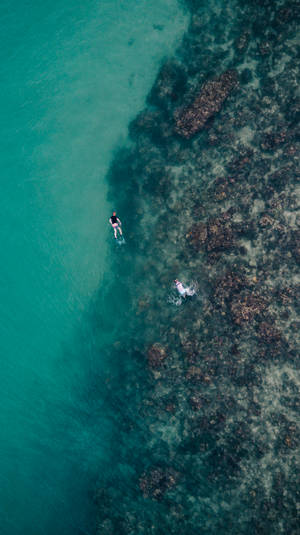 Snorkeling Aerial Shot Of Divers Wallpaper