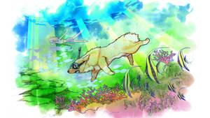 Snorkeling Dog Art Wallpaper