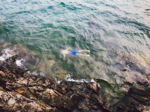 Snorkeling Near The Seashore Wallpaper