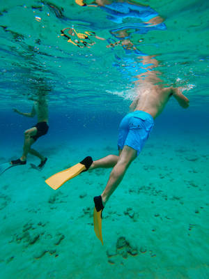 Snorkeling Two Men Wallpaper