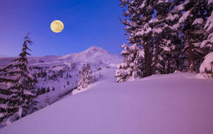 Snow Aesthetic Full Moon Wallpaper