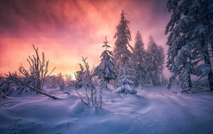 Snow Aesthetic Orange Sky Wallpaper