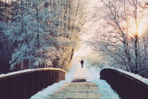 Snow Aesthetic Pathway Wallpaper