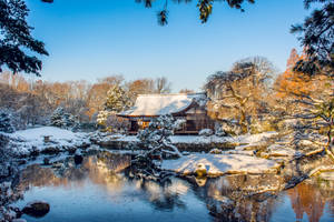 Snow Cabin Park Wallpaper