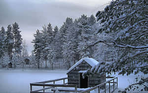 Snow-covered Winter Landscape Wallpaper