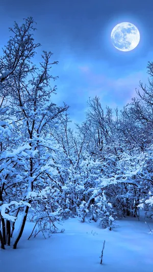 Snow Falling Under Full Moon Wallpaper