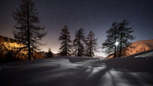 Snow Field Google Meet Virtual Background Wallpaper