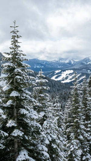 Snow Mountain Trees Winter Iphone Wallpaper