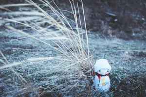 Snowman In The Forest Wallpaper