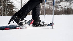 Snowshoeing Snow Shoe Wallpaper