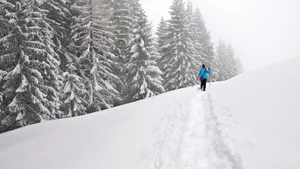 Snowshoeing Trace Snow Mountain Wallpaper