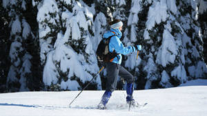 Snowshoeing Walking Mountain Wallpaper