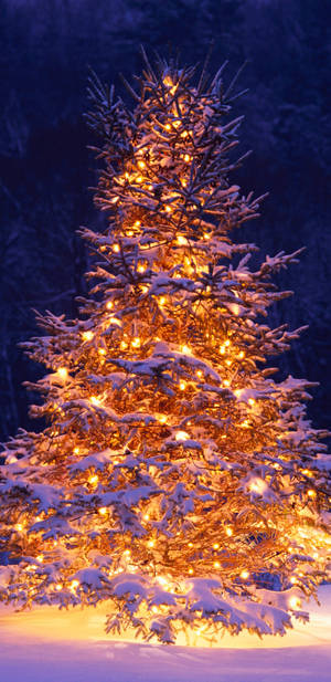 Snowy Christmas Night Wallpaper