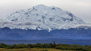 Snowy Denali Mountaintop Green Shrubbery Wallpaper