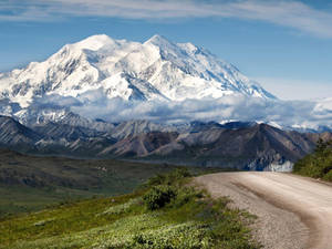 Snowy Denali With Dirt Path Wallpaper