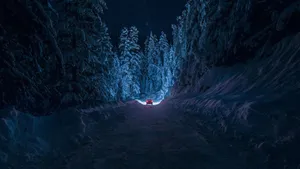 Snowy Forest Blue Aesthetic Pc Wallpaper