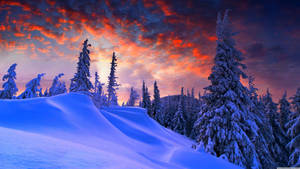 Snowy Hill In Winter Wallpaper