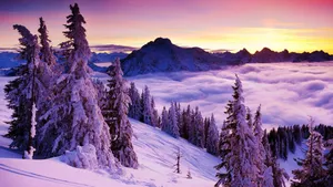 Snowy Mountain Top Above The Cloud Cover Snow 4k Wallpaper