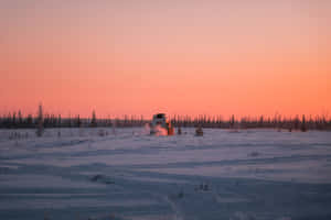 Snowy Tundra With Shrubbery Wallpaper