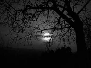 So Sad Full Moon Wallpaper