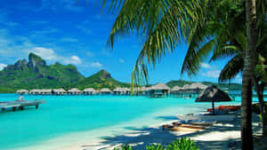 Soak In The Hawaiian Sun At A Beautiful Beach Wallpaper