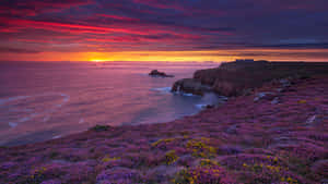 Soak Up The Warmth Of The Summer Sun Before Fall Approaches. Wallpaper