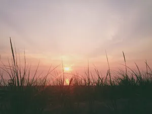 Soaking In The Beauty Of The Sunset. Wallpaper