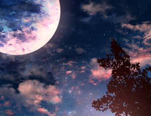 Soaking In The Stunning Beauty Of The Aesthetic Night Sky. Wallpaper