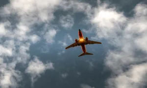 Soaring Through The Air Alone Wallpaper