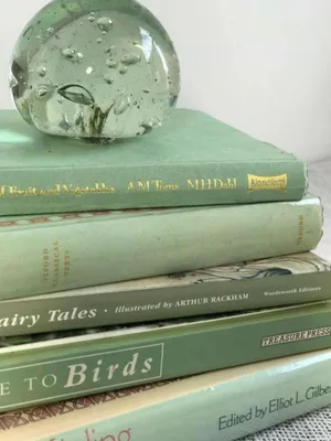 Soft Shades Of Pastel Mint Green Look Refreshing And Elegant Wallpaper