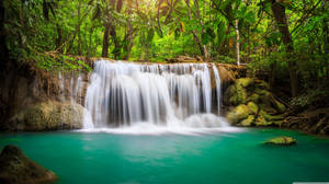 Soft Waterfall Forest Background Wallpaper