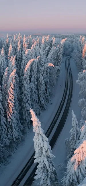 Softly Falling Snow Wallpaper