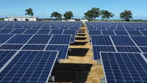 Solar Energy Farm In Paramaribo Wallpaper